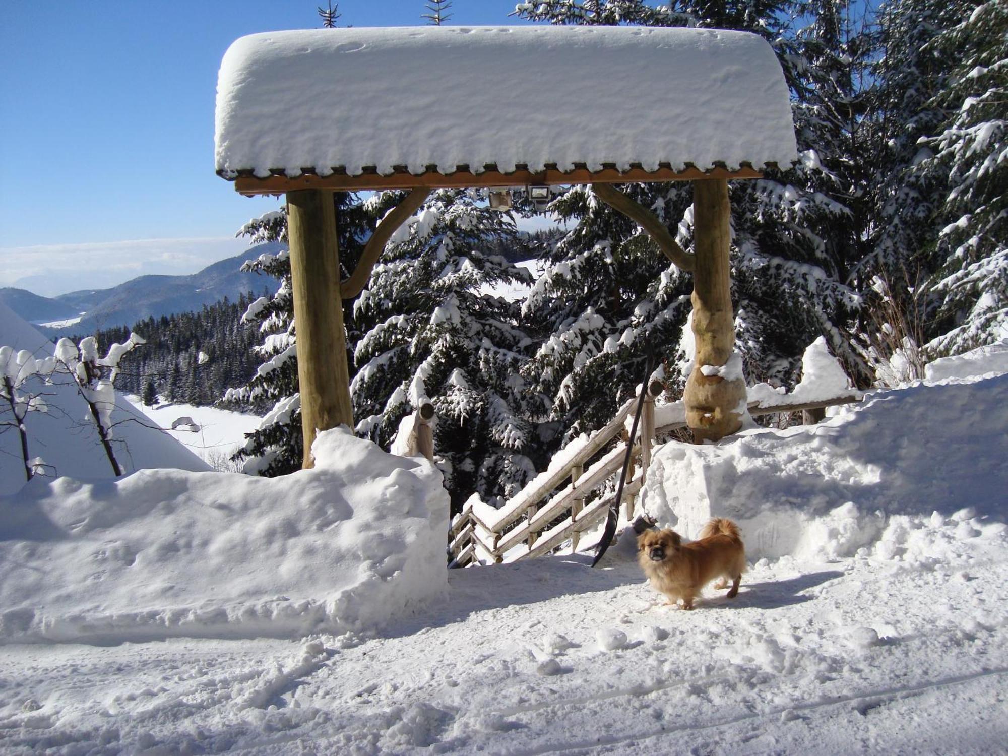 Charming Chalet Rogla Hudinja 외부 사진